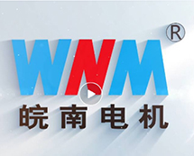 安徽皖南電機股份有限公司宣傳片（2024）正式發布